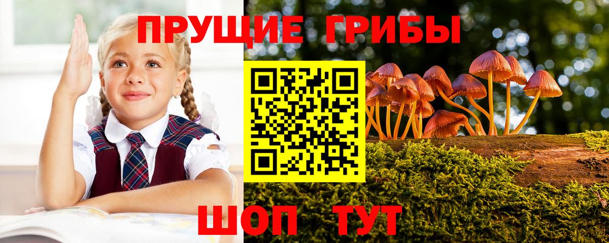 Галлюциногенные грибы MAGIC MUSHROOMS  Псилоцибиновые грибы MAGIC MUSHROOMS  Лосино-Петровский  Вход с VPN 